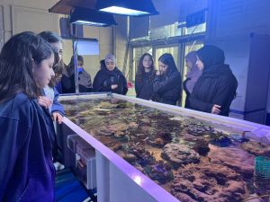 ‏תמונה מ-ohood(2)